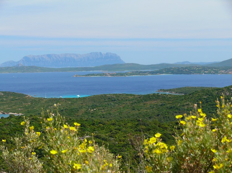 2009_sardinien_076.JPG