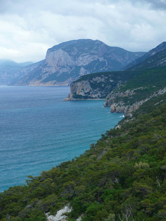 2009_sardinien_139.JPG