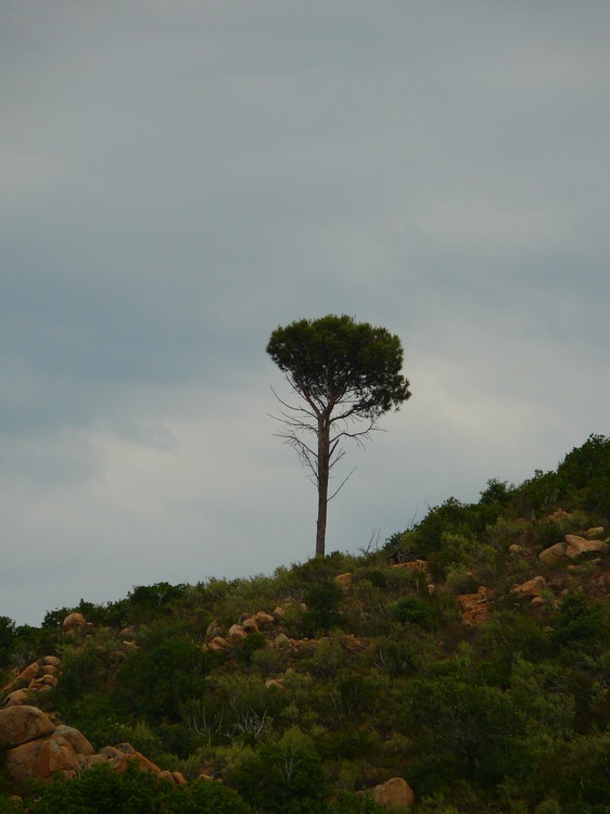 2009_sardinien_334.JPG