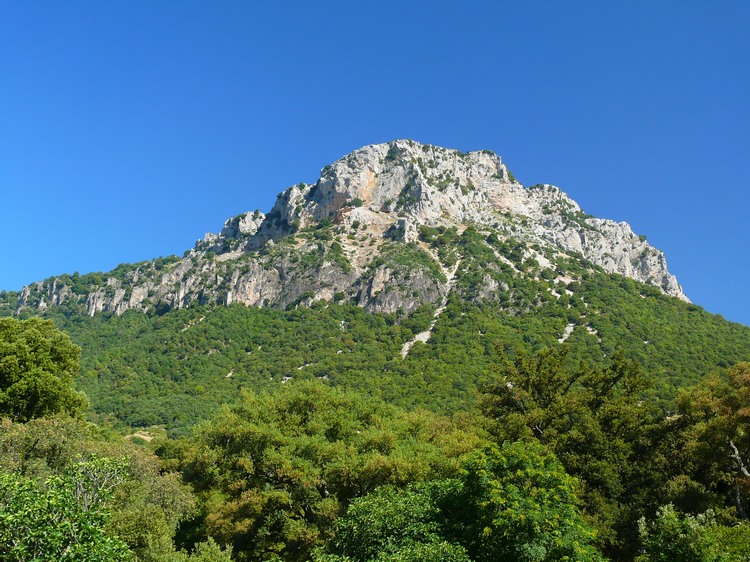 2009_sardinien_358.JPG