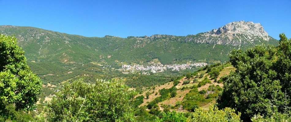 2009_sardinien_367.JPG