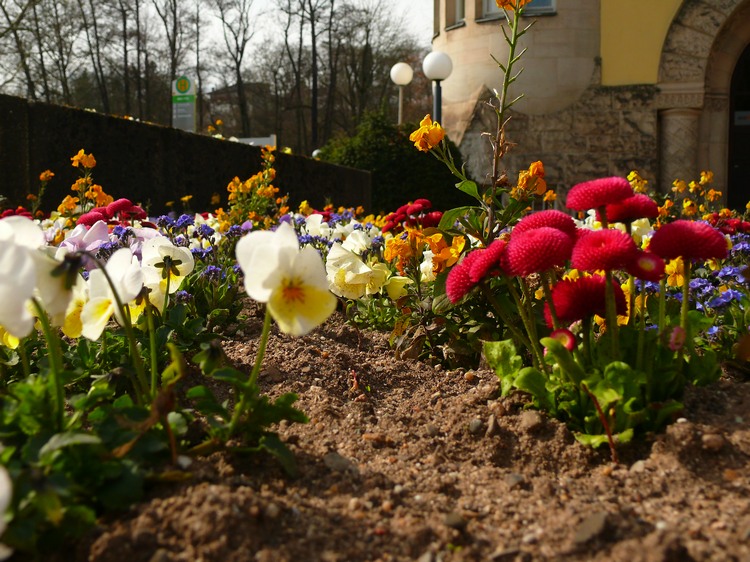 2010_osterbrunnen_coburg_022.jpg