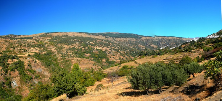 2011_andalusien_015.jpg