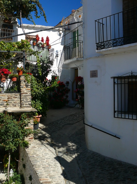 2011_andalusien_024.jpg