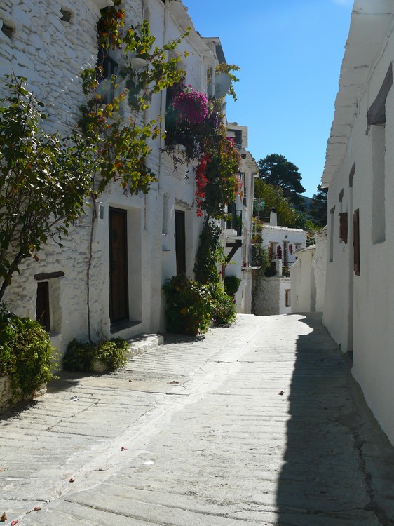 2011_andalusien_025.jpg