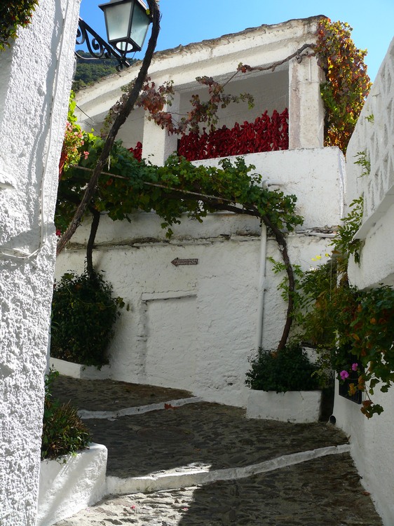 2011_andalusien_031.jpg