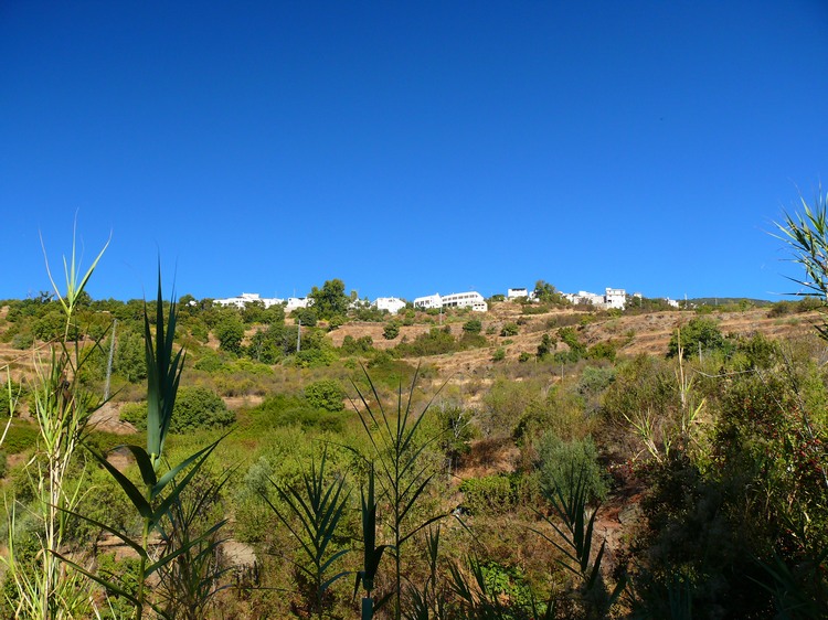 2011_andalusien_066.jpg