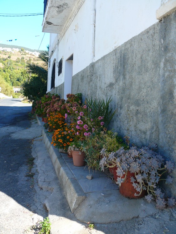 2011_andalusien_070.jpg