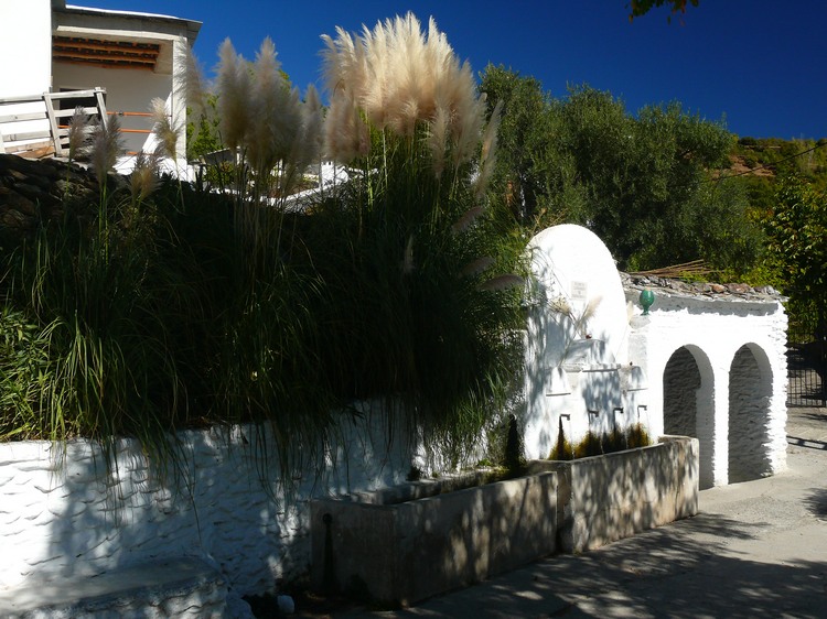 2011_andalusien_082.jpg