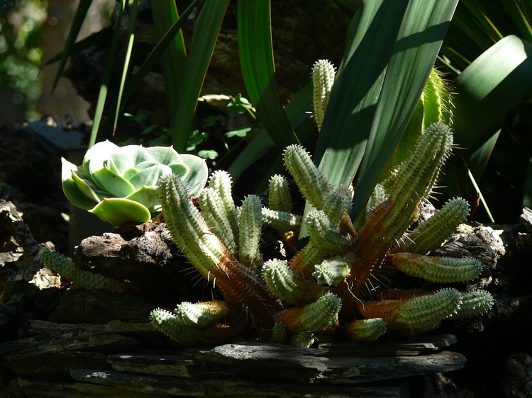 2011_andalusien_099.jpg