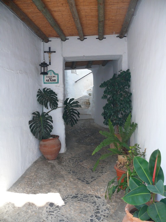 2011_andalusien_241.jpg