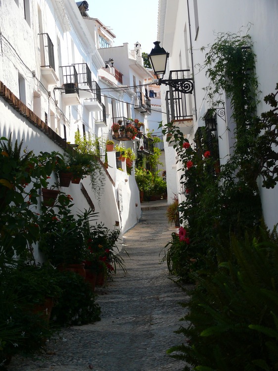 2011_andalusien_257.jpg