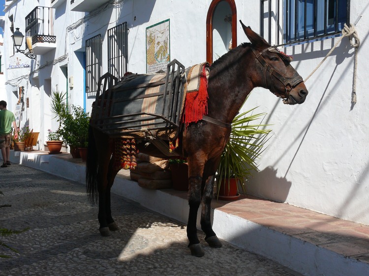 2011_andalusien_266.jpg