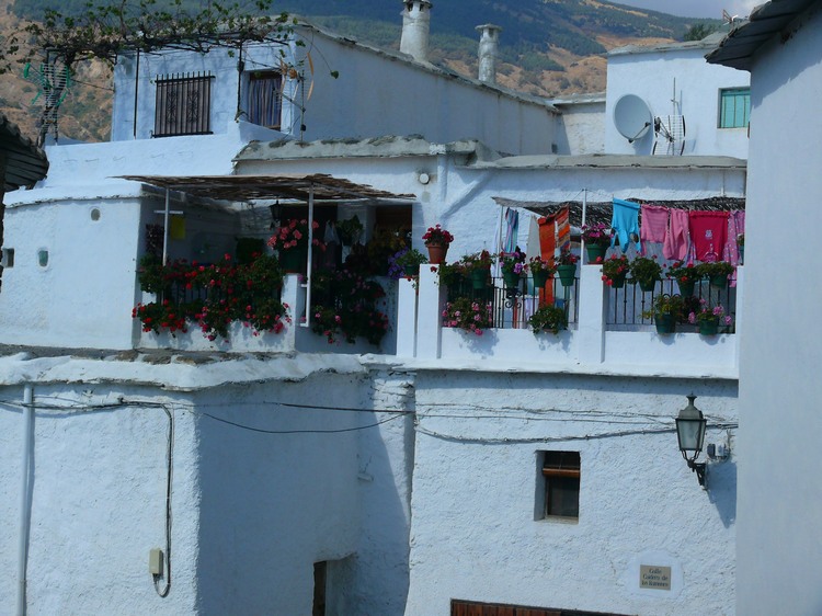 2011_andalusien_317.jpg