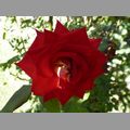 2011_andalusien_091.jpg