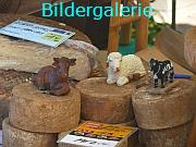 Bildergalerie