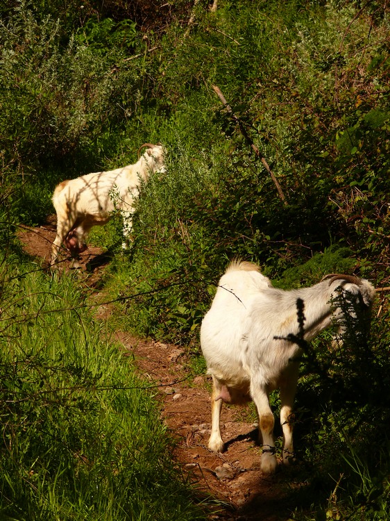 2011_grancanaria_001.jpg