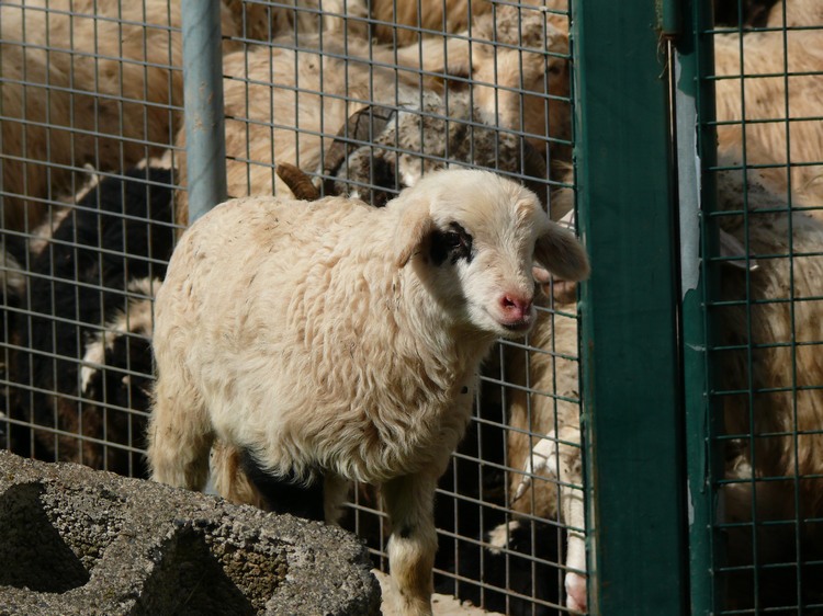 2011_grancanaria_007.jpg