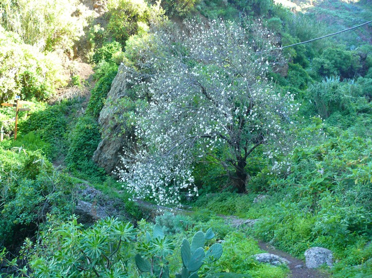 2011_grancanaria_012.jpg