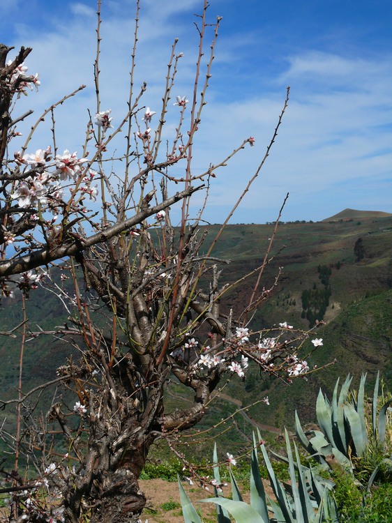 2011_grancanaria_023.jpg