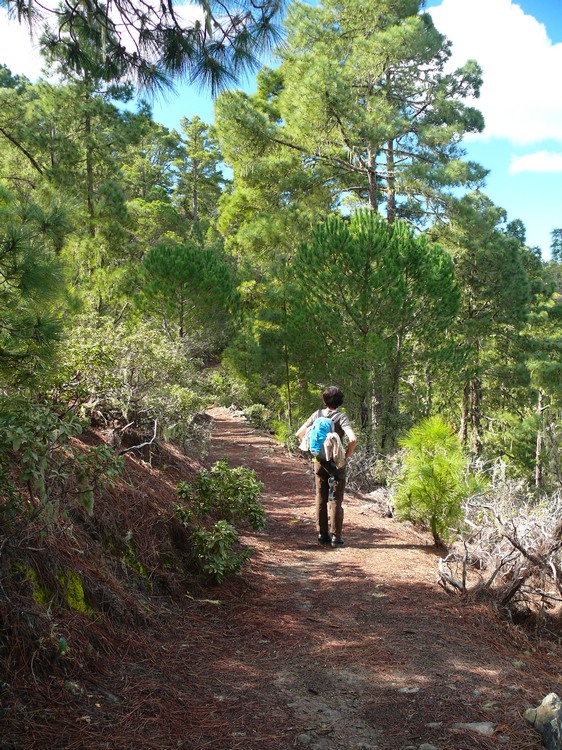 2011_grancanaria_039.jpg