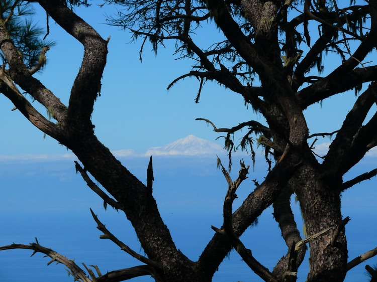 2011_grancanaria_040.jpg