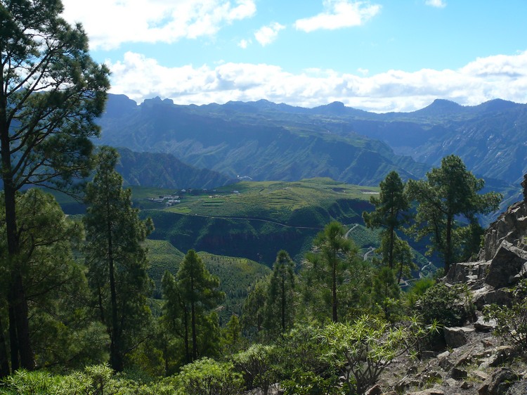 2011_grancanaria_041.jpg