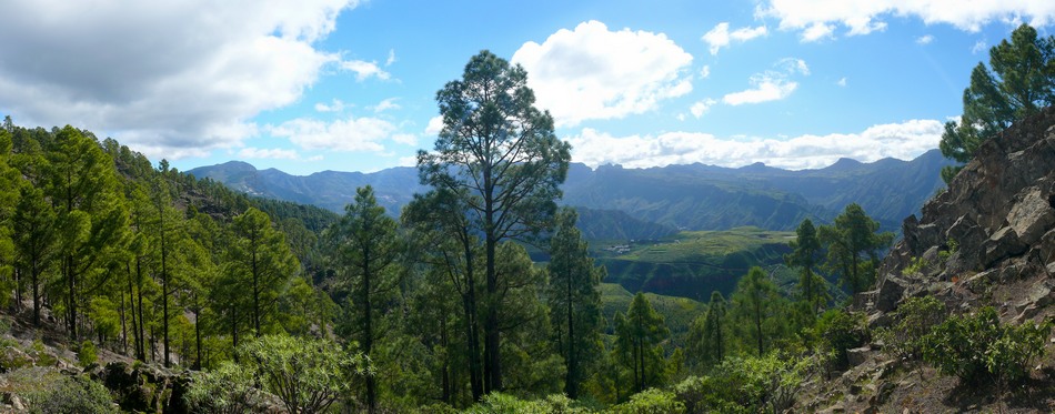 2011_grancanaria_042.jpg