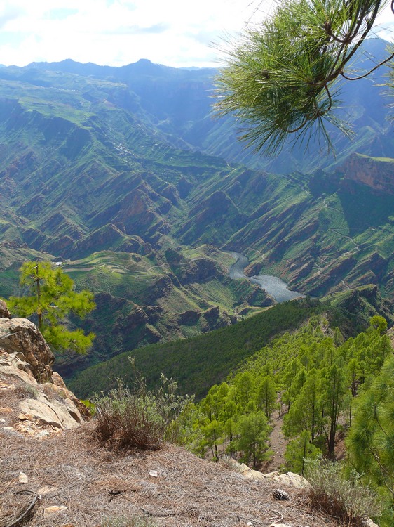 2011_grancanaria_045.jpg