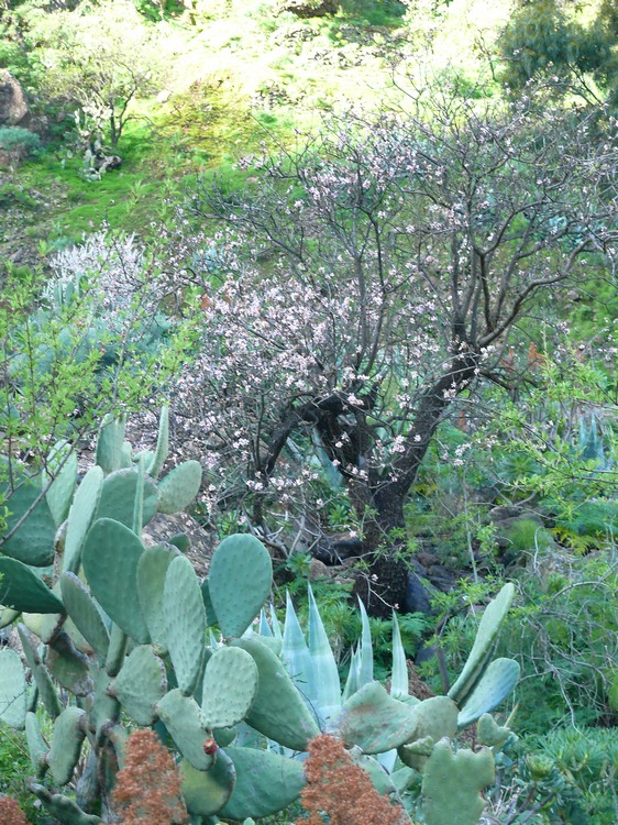 2011_grancanaria_054.jpg