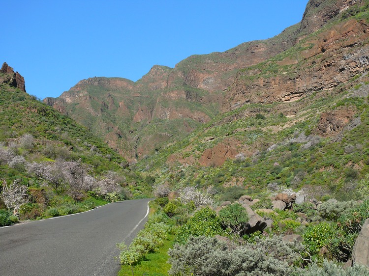 2011_grancanaria_056.jpg