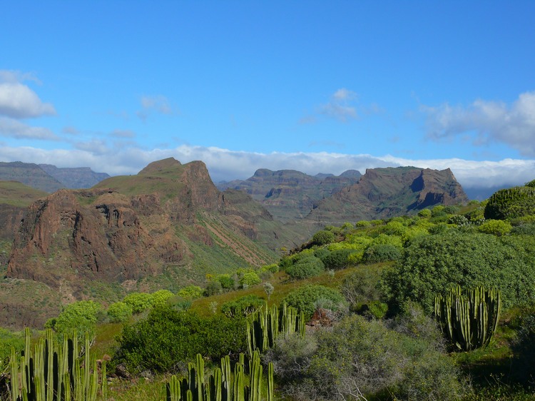 2011_grancanaria_086.jpg