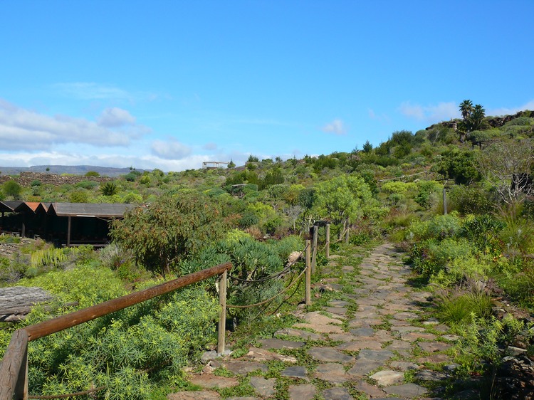 2011_grancanaria_090.jpg