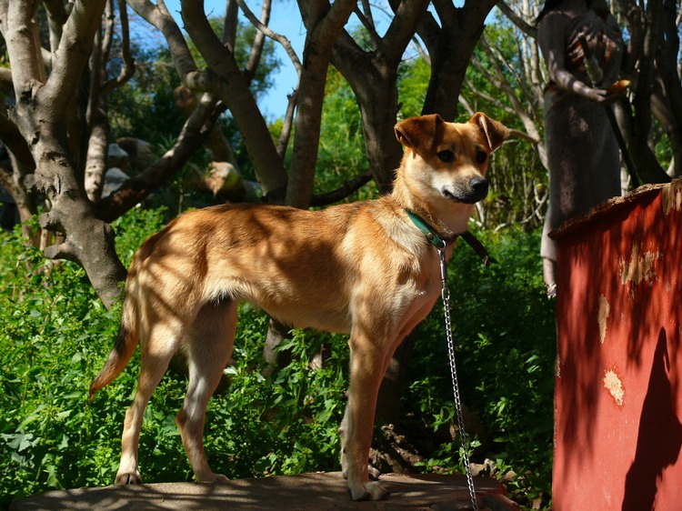 2011_grancanaria_095.jpg