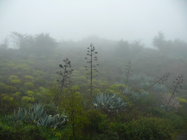 2011_grancanaria_133.jpg