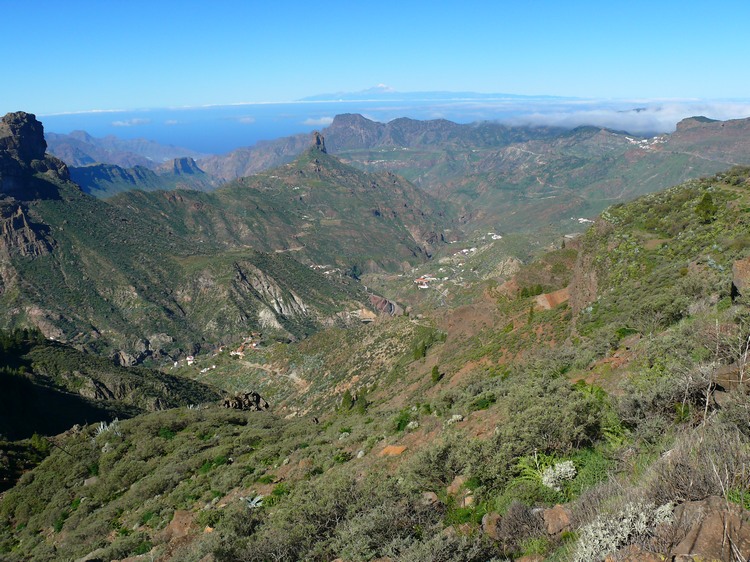 2011_grancanaria_143.jpg