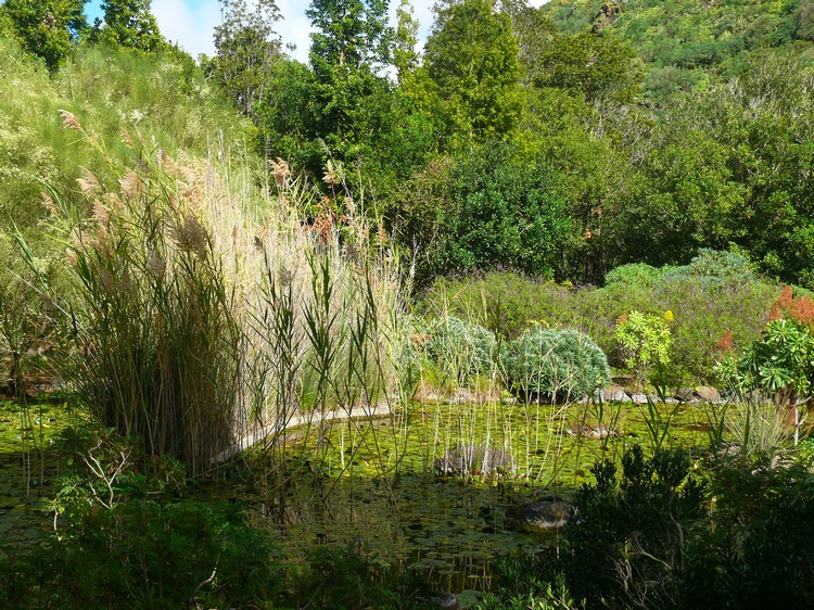 2011_grancanaria_171.jpg