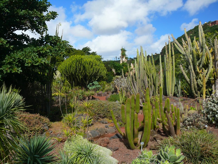 2011_grancanaria_175.jpg