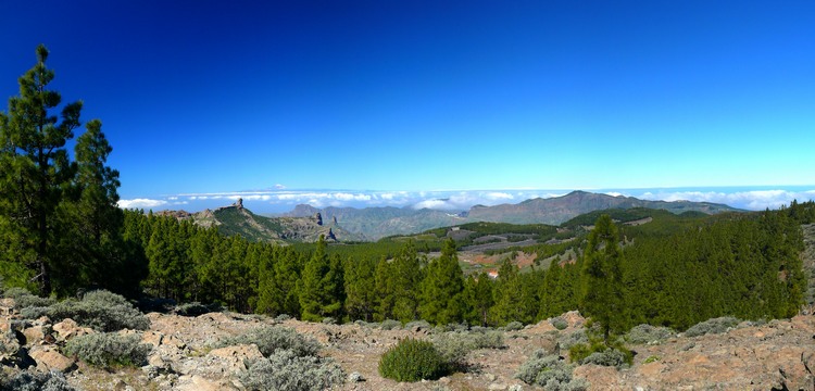 2011_grancanaria_183.jpg