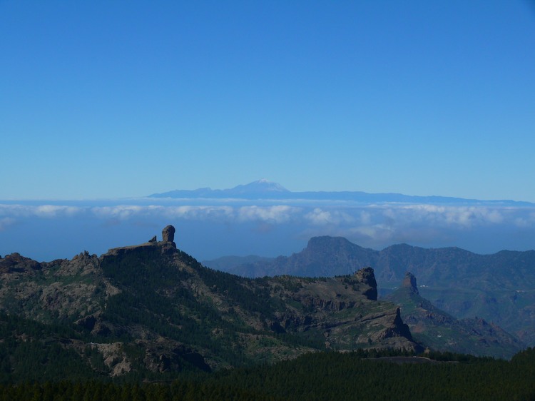 2011_grancanaria_186.jpg