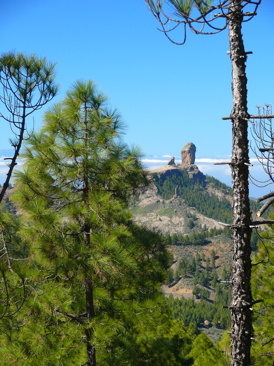 2011_grancanaria_188.jpg