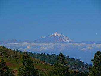 Pinos de Gáldar - Teide auf Teneriffa / Quelle: eigene