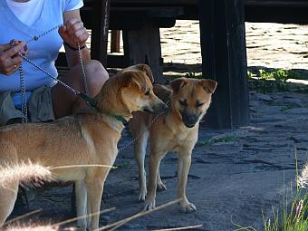 Zick und Zack im Freilichtmuseum Mundo Aborigen / Quelle: eigene