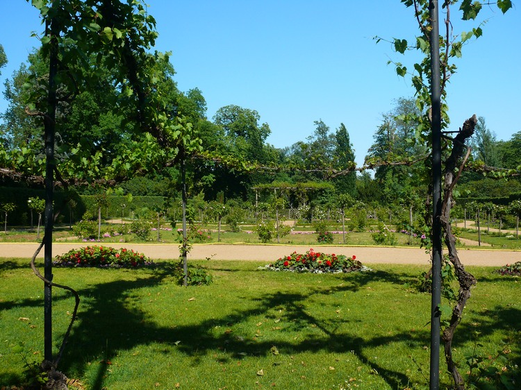 2011_potsdam_155.jpg