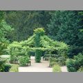 2011_potsdam_025.jpg