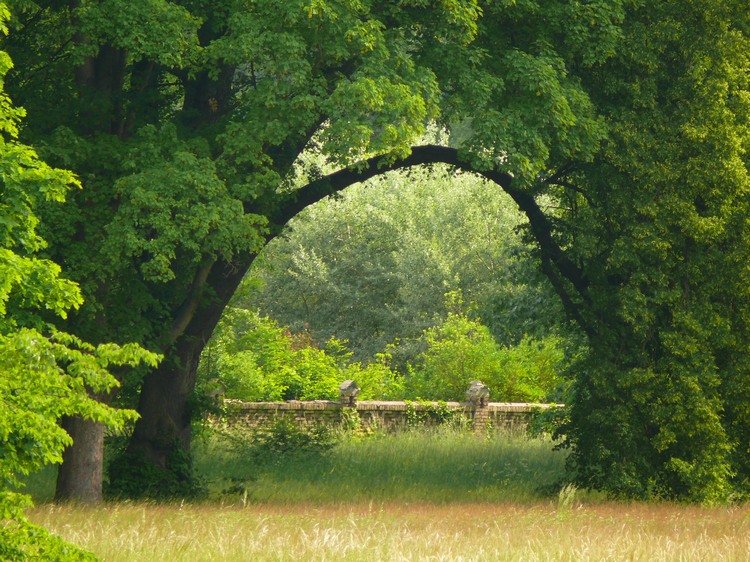 Park Babelsberg, Potsdam / Quelle: eigene