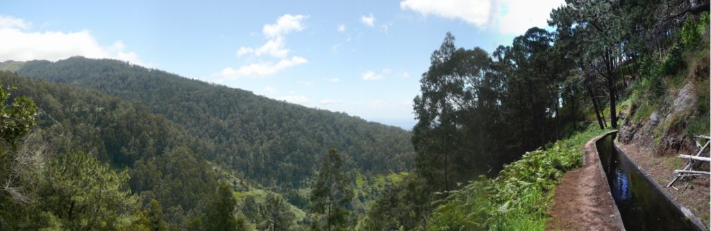 Madeira (Von Prazeres nach Calheta)