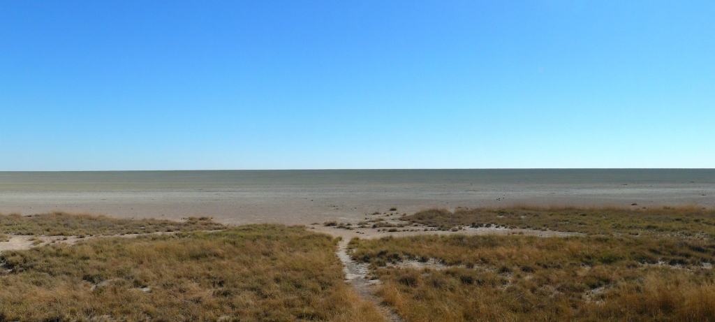 Namibia / Panorama 21 - Etosha Nationalpark