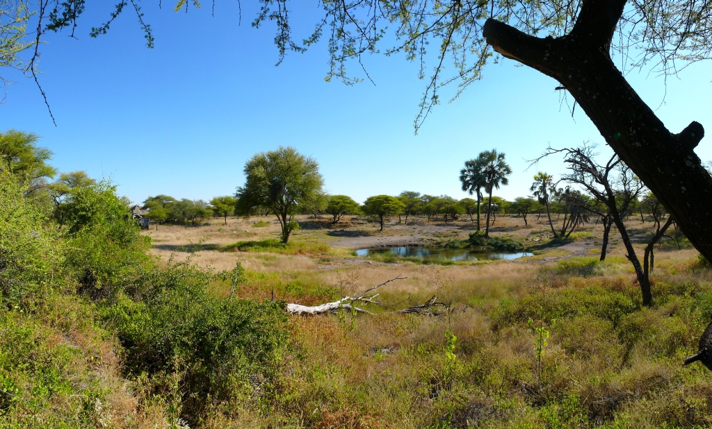 Namibia / Panorama 22 - Onguma Tented Camp